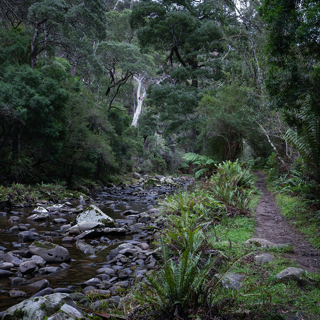 Bibbulmun Track