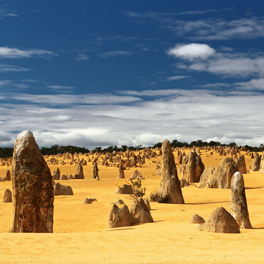 Desierto de los Pinaculos australia