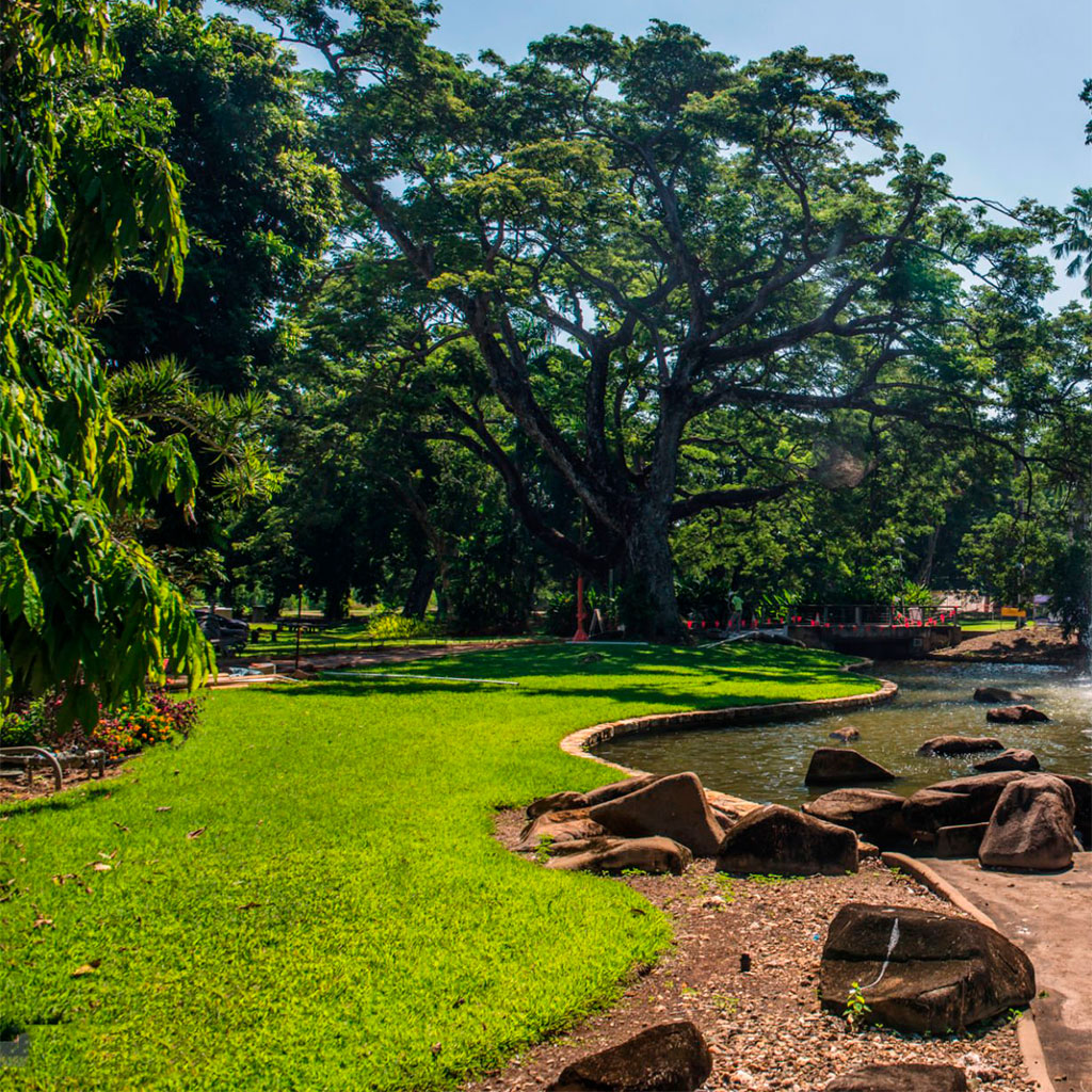 George Brown Darwin Botanic Gardens