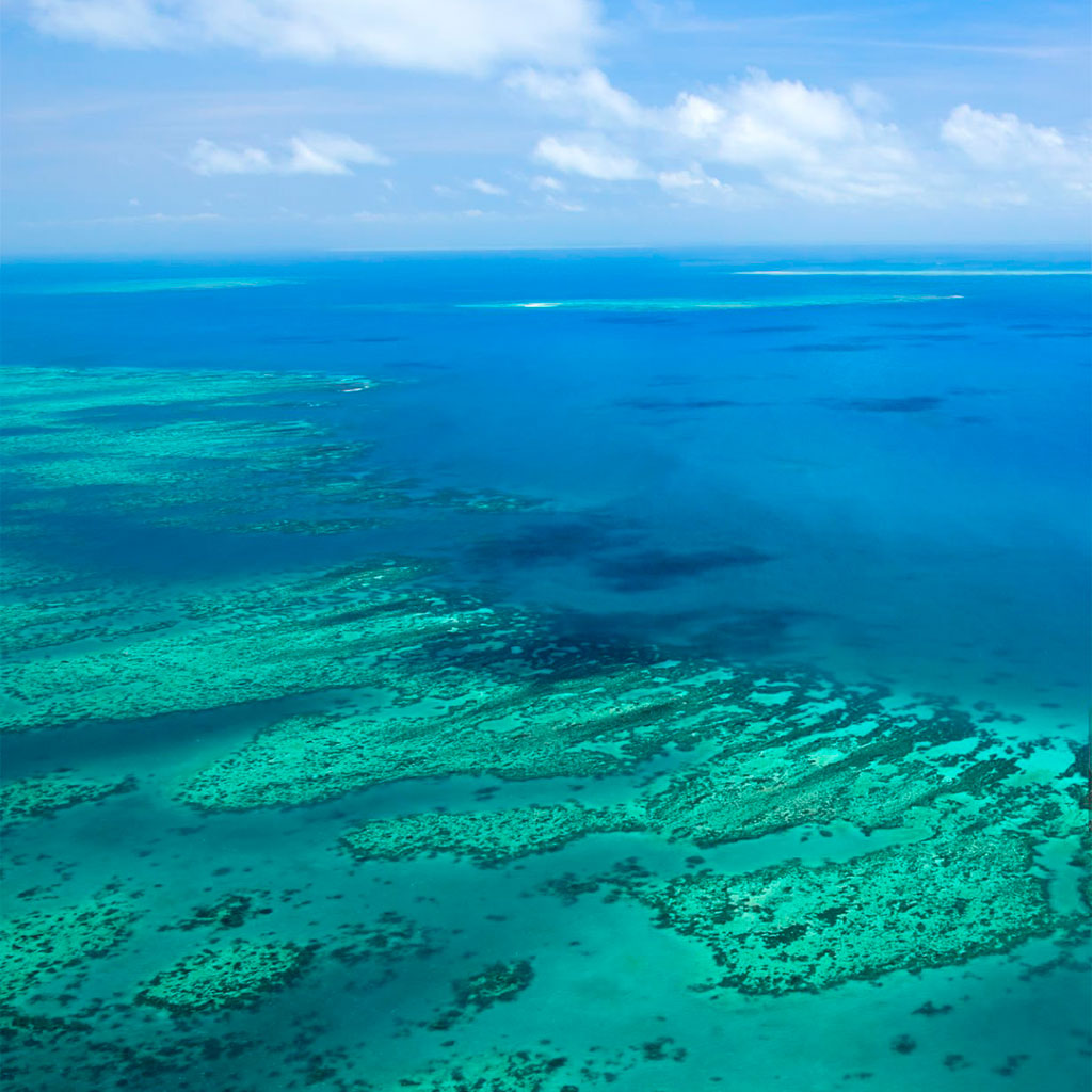 La Gran Barrera de Coral