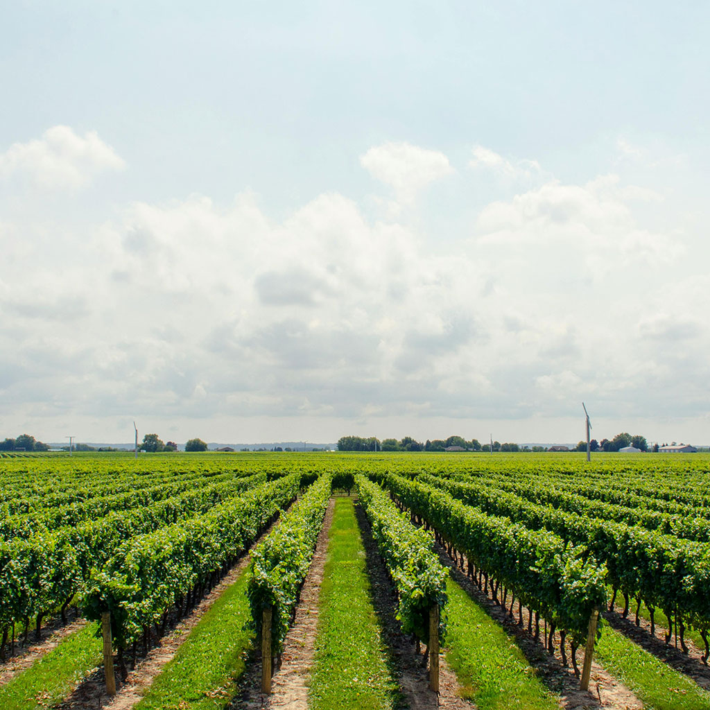 National Wine Centre australia