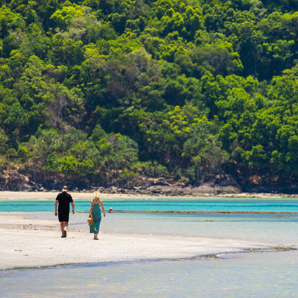 cape tribulation