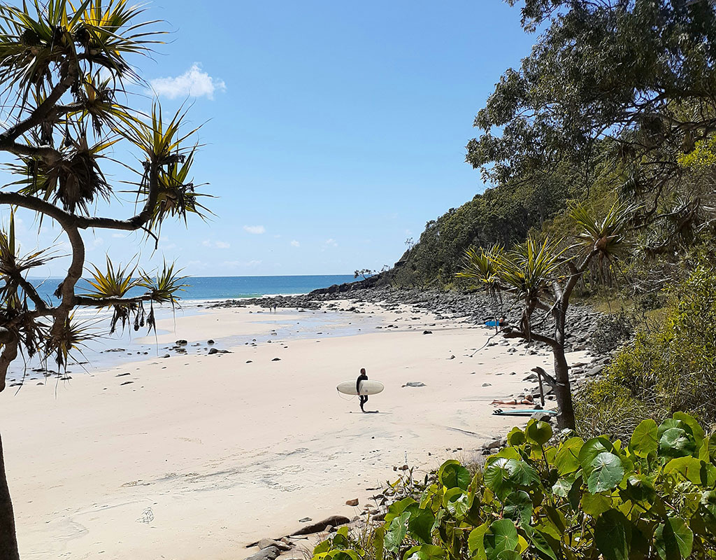 clima en noosa