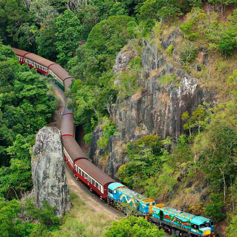 kuranda forest