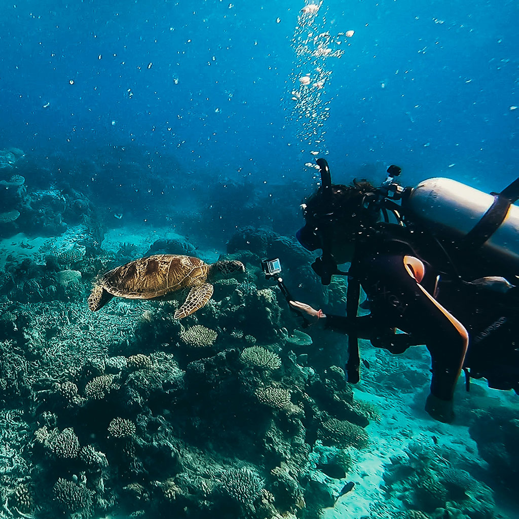 ventajas de vivir en cairns